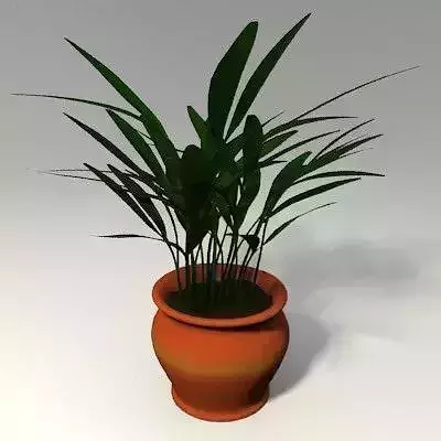 Potted Plant
