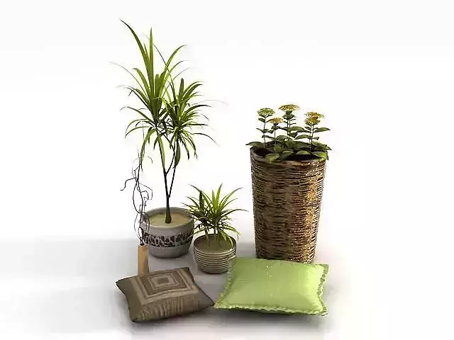 flower set of potted plants and pillows