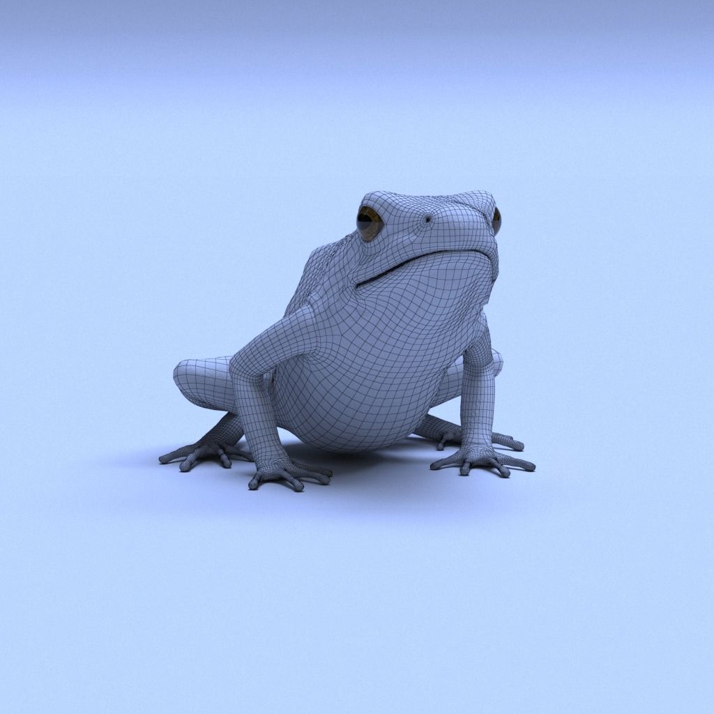 Poison Dart Frogs v3 - Package 3D model_53