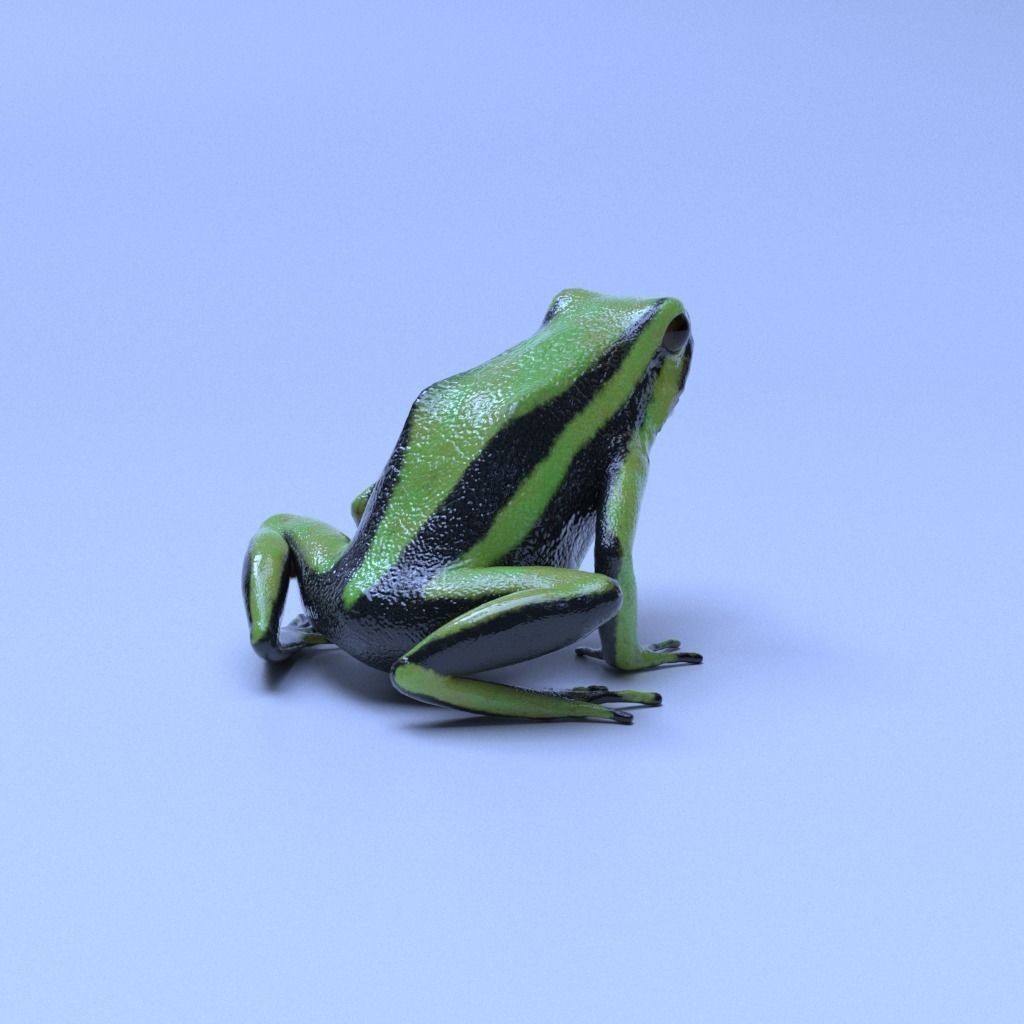 Poison Dart Frogs v3 - Package 3D model_25