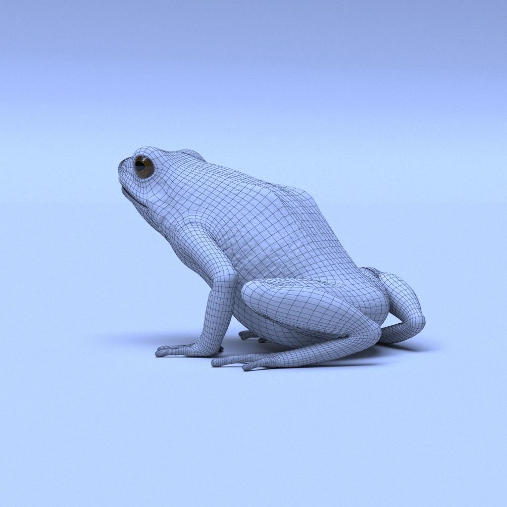 Poison Dart Frogs v3 - Package 3D model_4