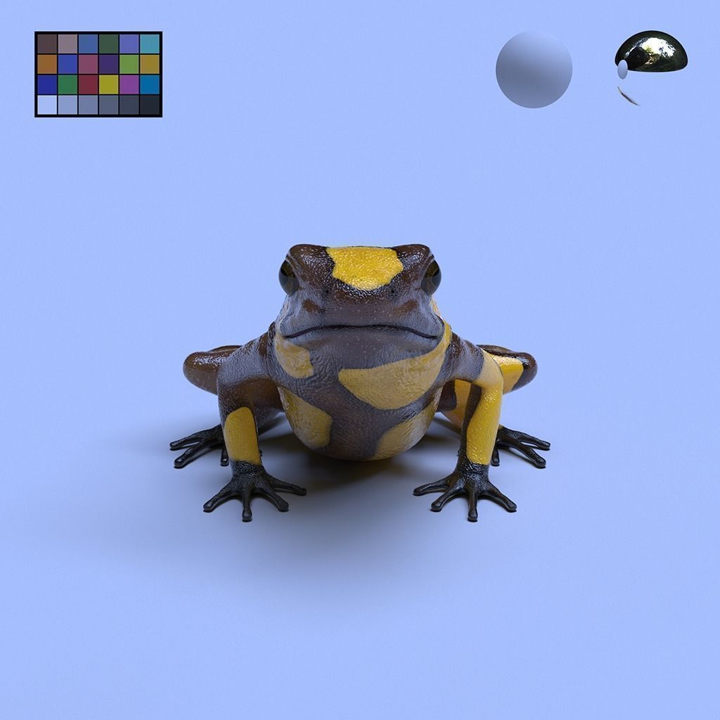 Poison Dart Frogs v3 - Package 3D model_63