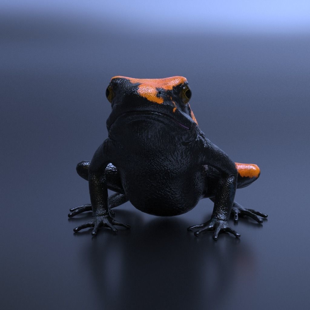 Poison Dart Frogs v3 - Package 3D model_38