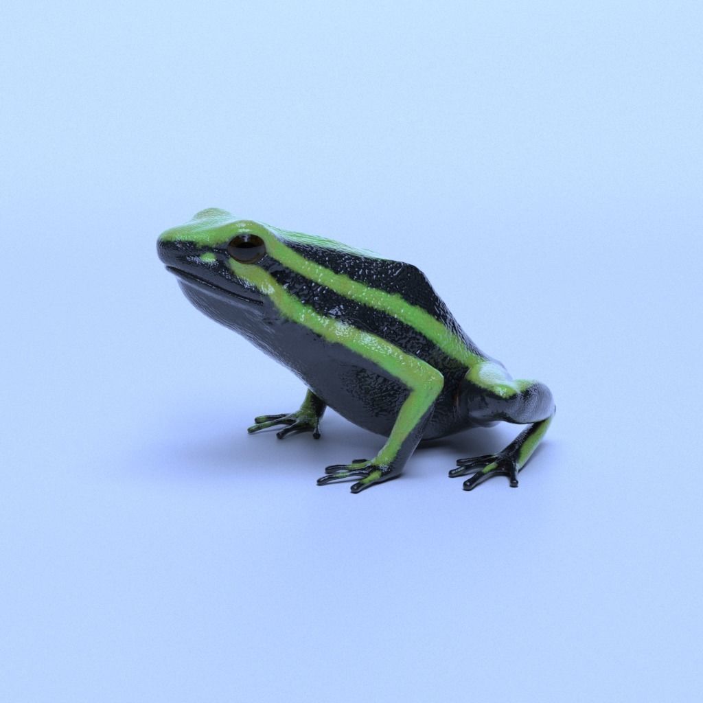 Poison Dart Frogs v3 - Package 3D model_21