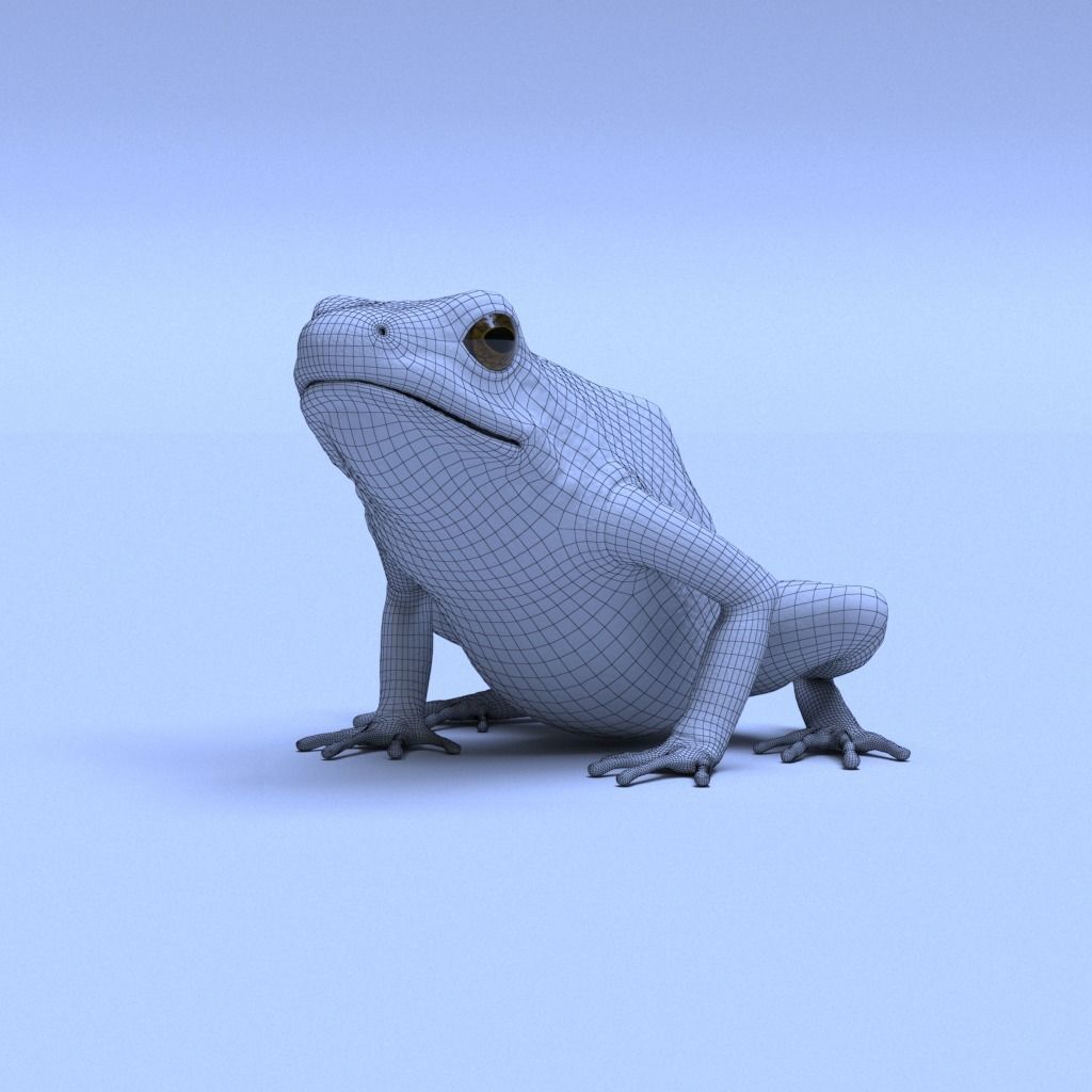 Poison Dart Frogs v3 - Package 3D model_52