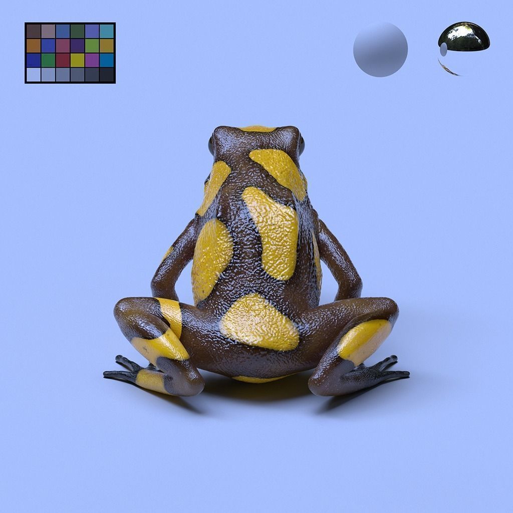 Poison Dart Frogs v3 - Package 3D model_56