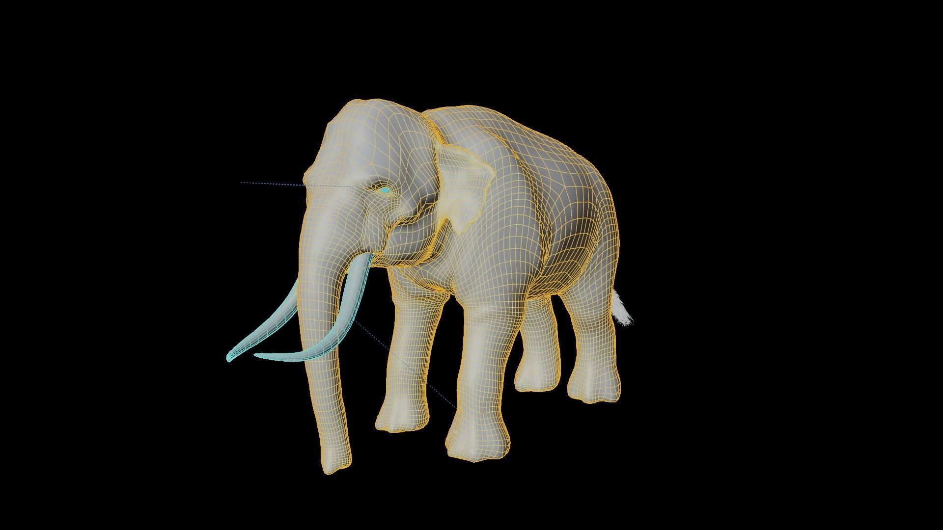 Asian elephant Low-poly 3D model_16
