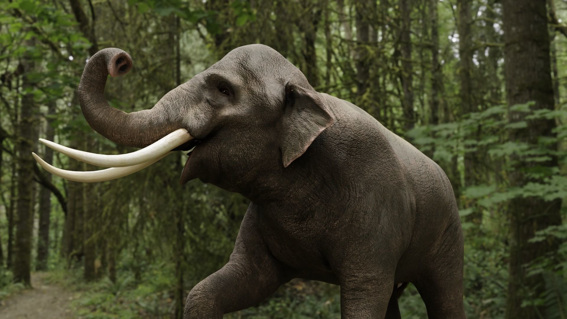 Asian elephant Low-poly 3D model_2