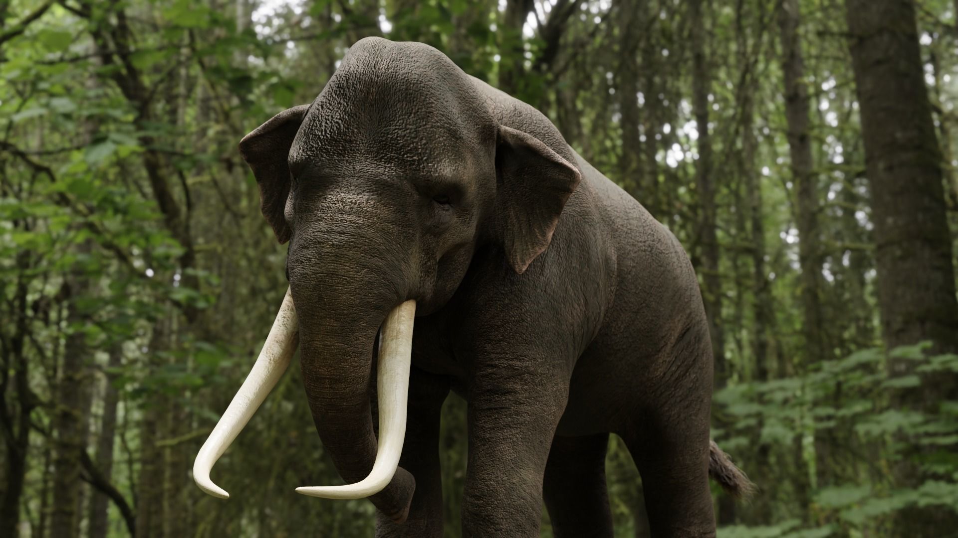 Asian elephant Low-poly 3D model_6