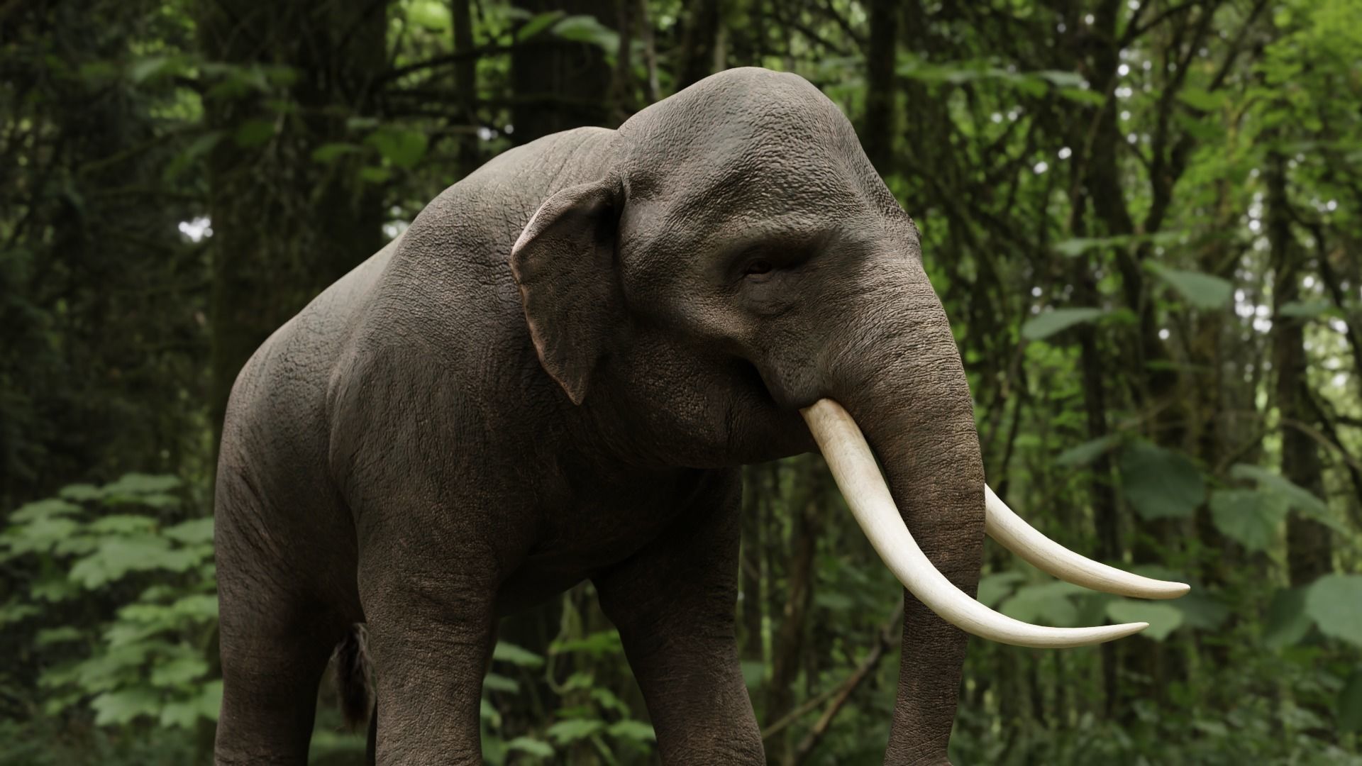 Asian elephant Low-poly 3D model_22