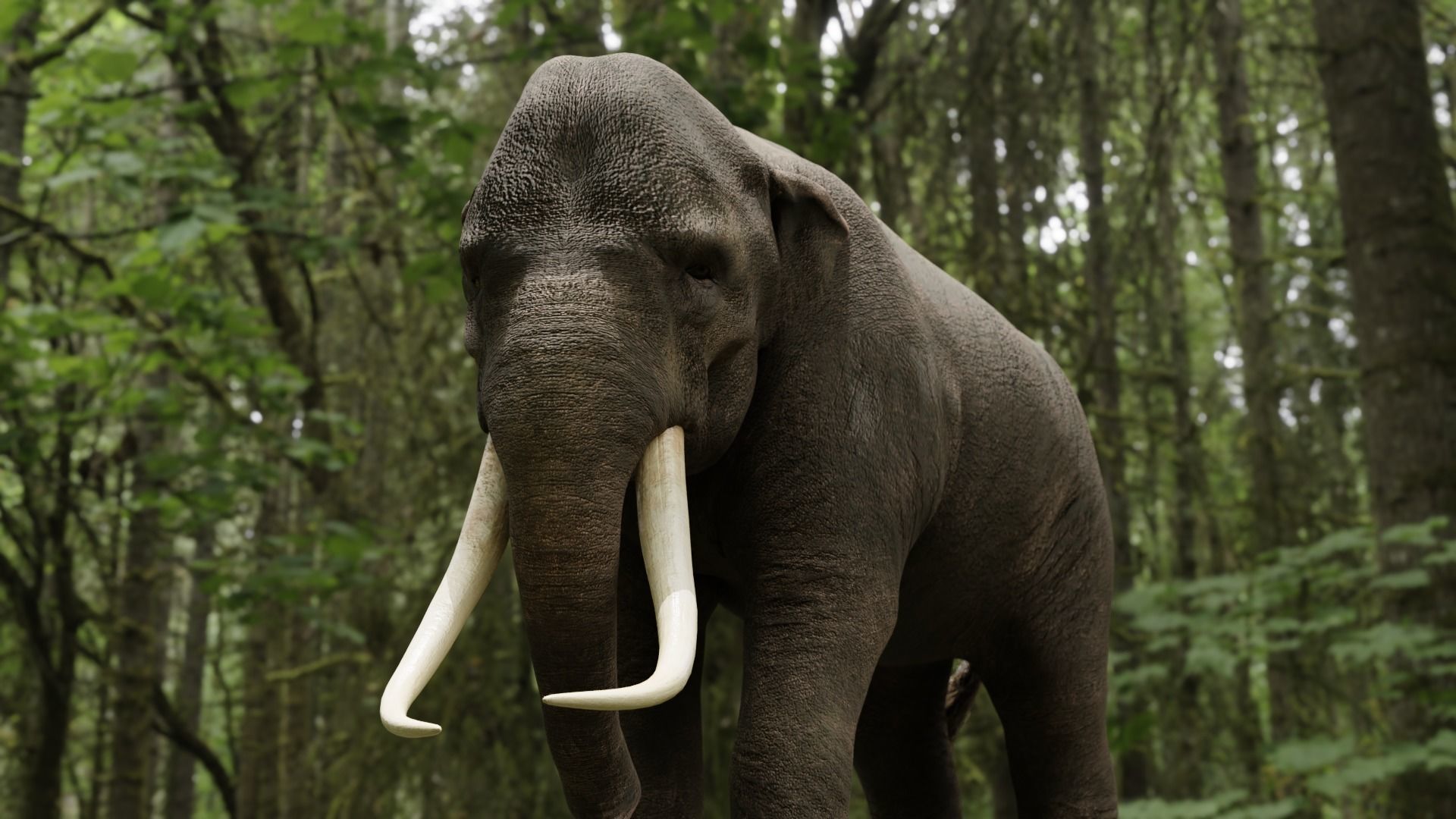 Asian elephant Low-poly 3D model_3