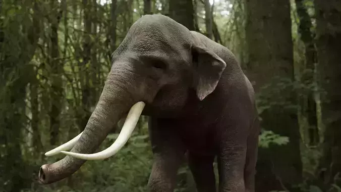 Asian elephant Low-poly 3D model
