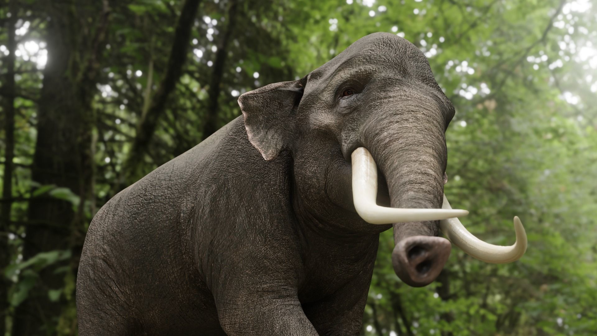 Asian elephant Low-poly 3D model_5