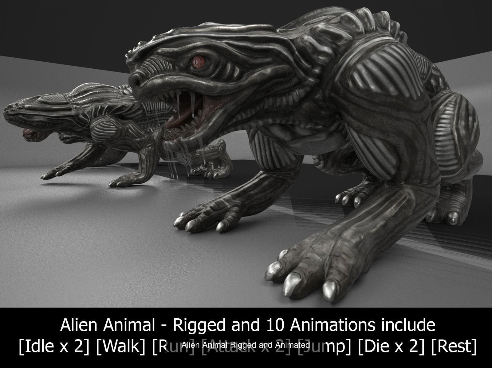 Game Ready Animals wolf 3D Model Collection_12
