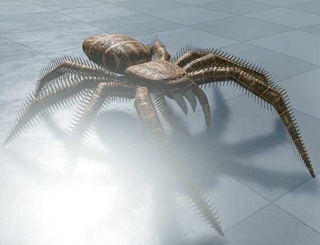 Game Ready Animals wolf 3D Model Collection_43