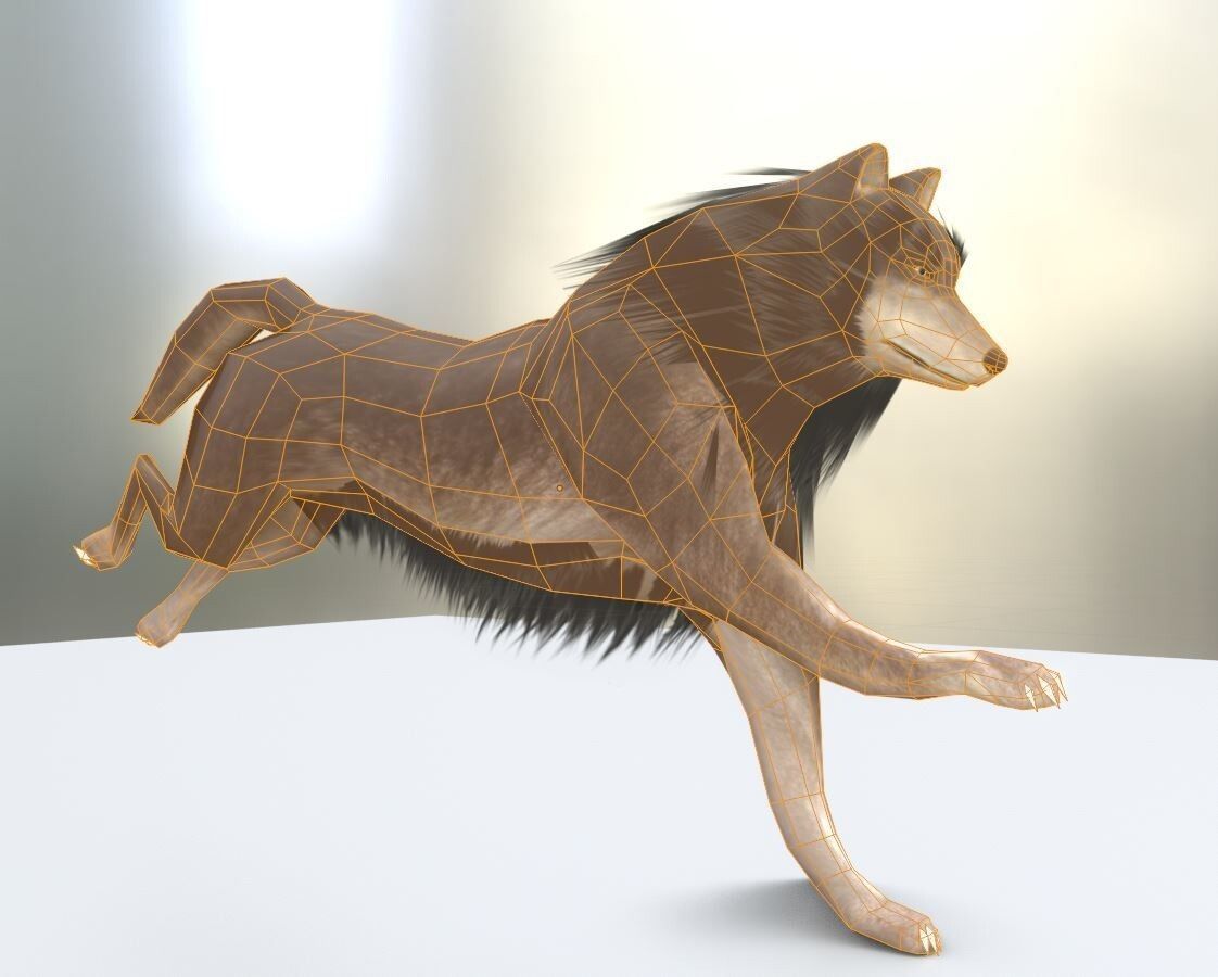 Game Ready Animals wolf 3D Model Collection_29