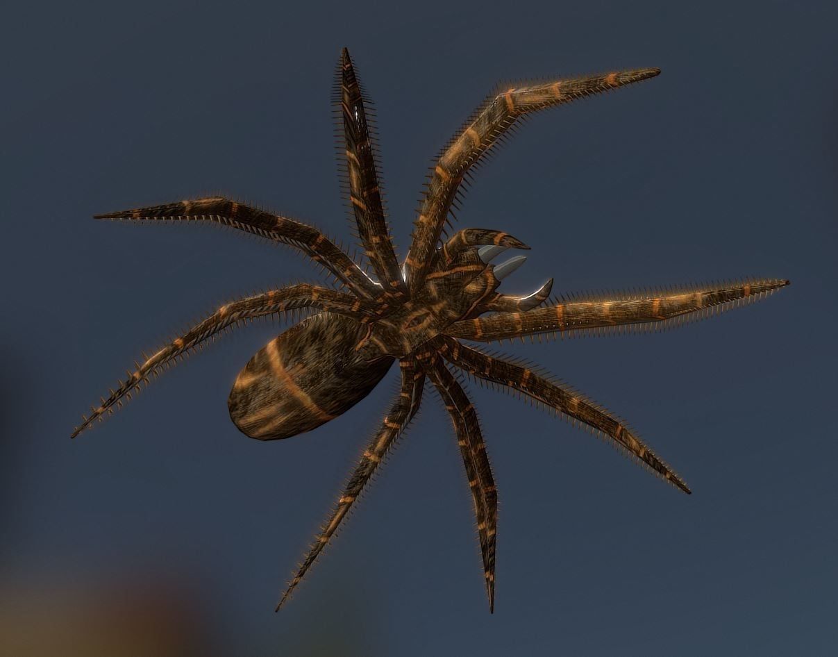 Game Ready Animals wolf 3D Model Collection_32