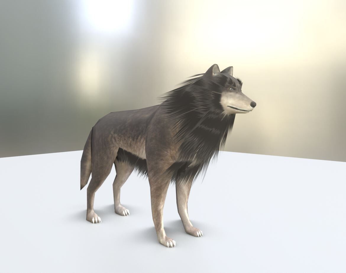 Game Ready Animals wolf 3D Model Collection_33