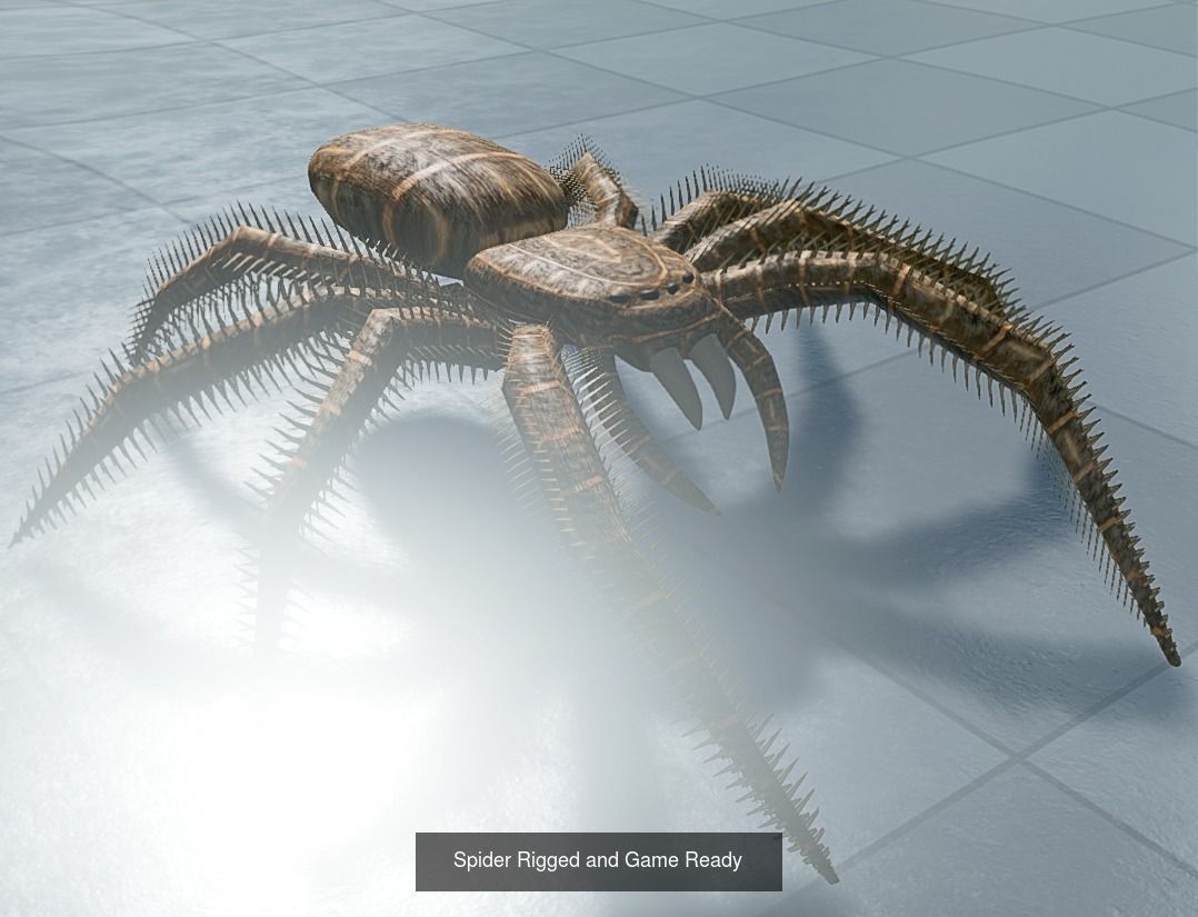 Game Ready Animals wolf 3D Model Collection_11