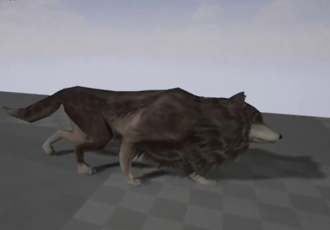 Game Ready Animals wolf 3D Model Collection_30