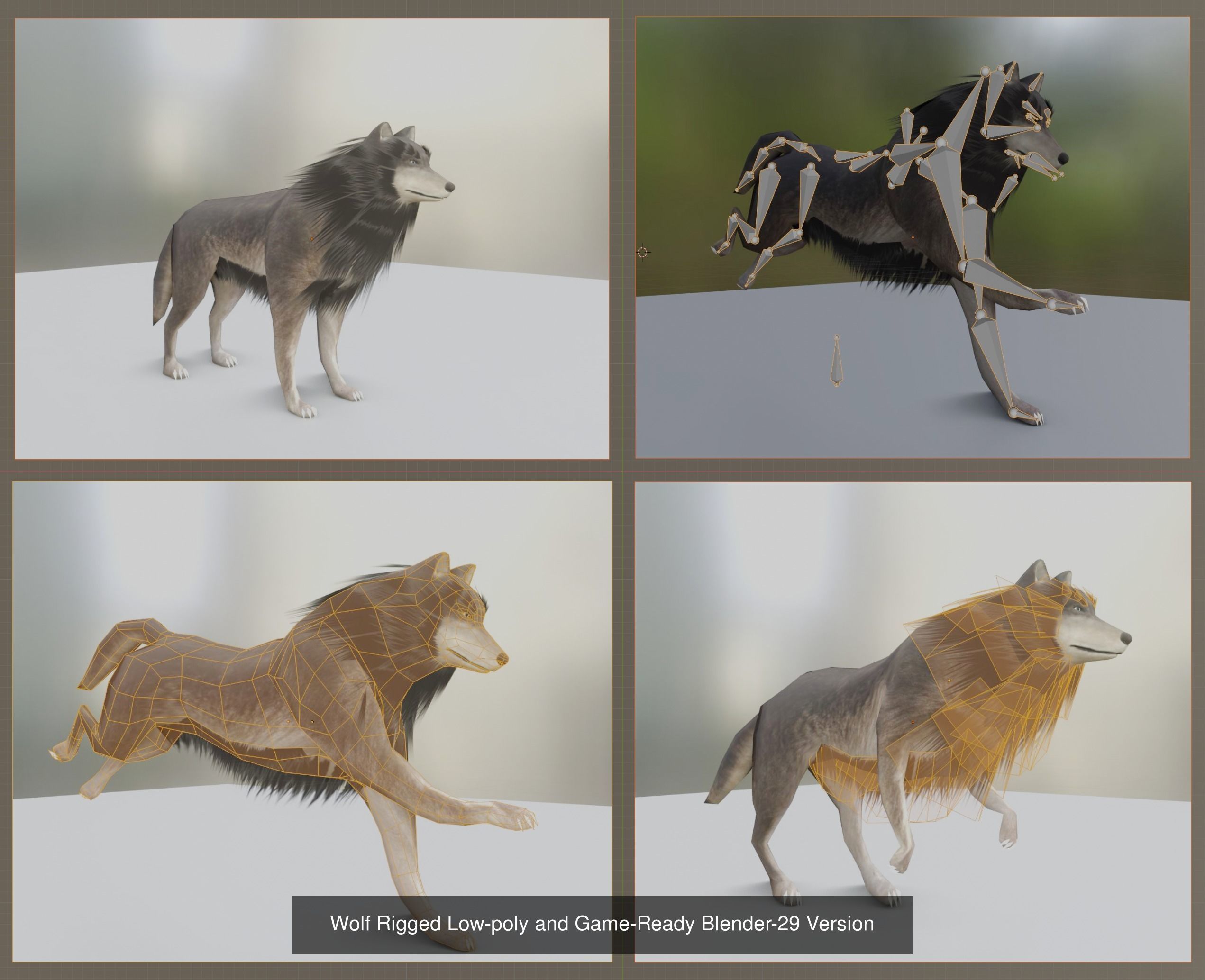 Game Ready Animals wolf 3D Model Collection_13