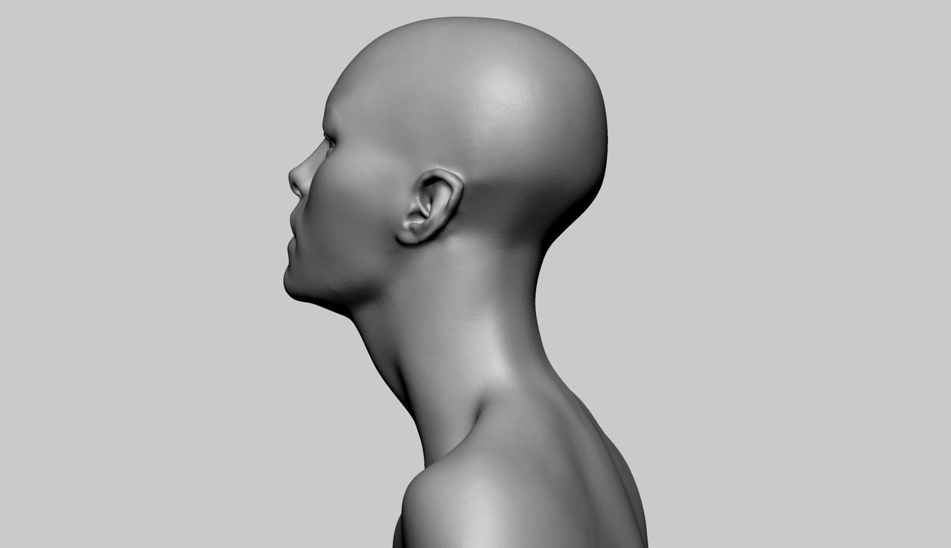 Stylized Female Head v4 3D model_4