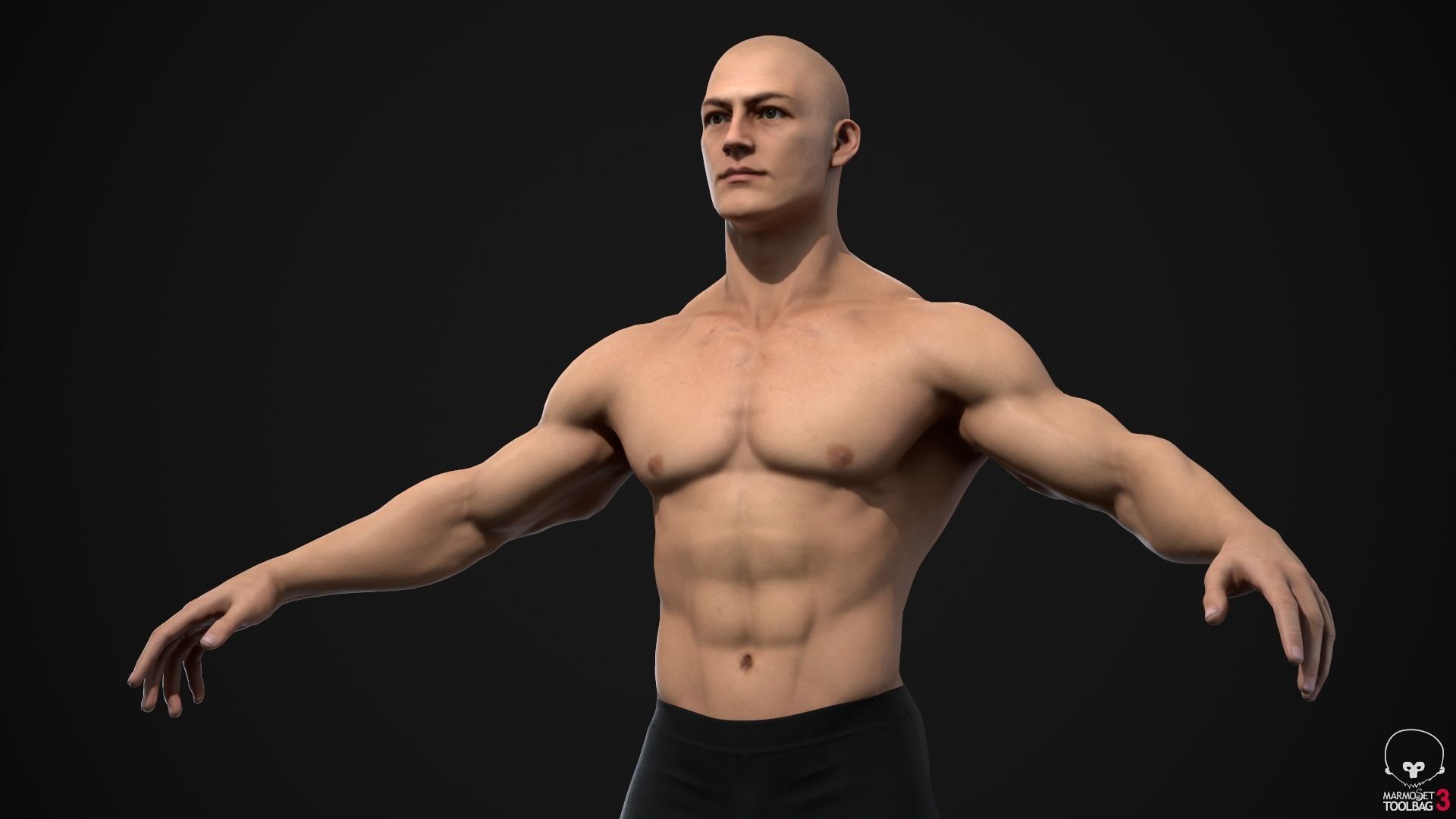 Muscle men pack 3D Model Collection_22