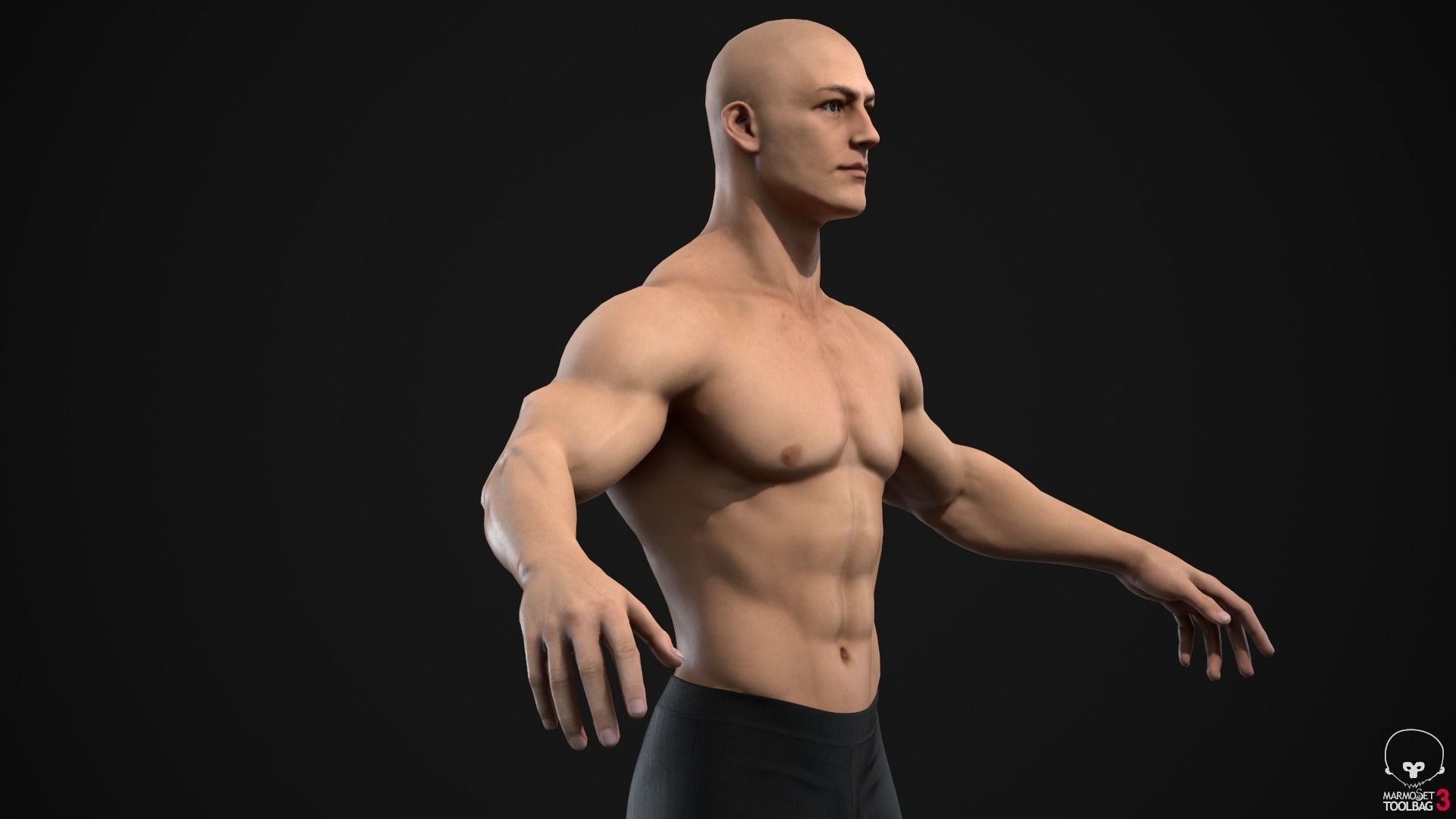 Muscle men pack 3D Model Collection_18