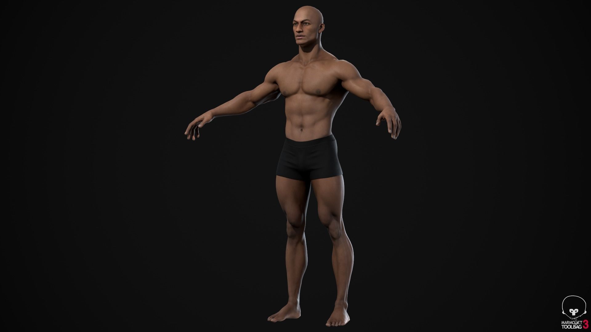 Muscle men pack 3D Model Collection_49
