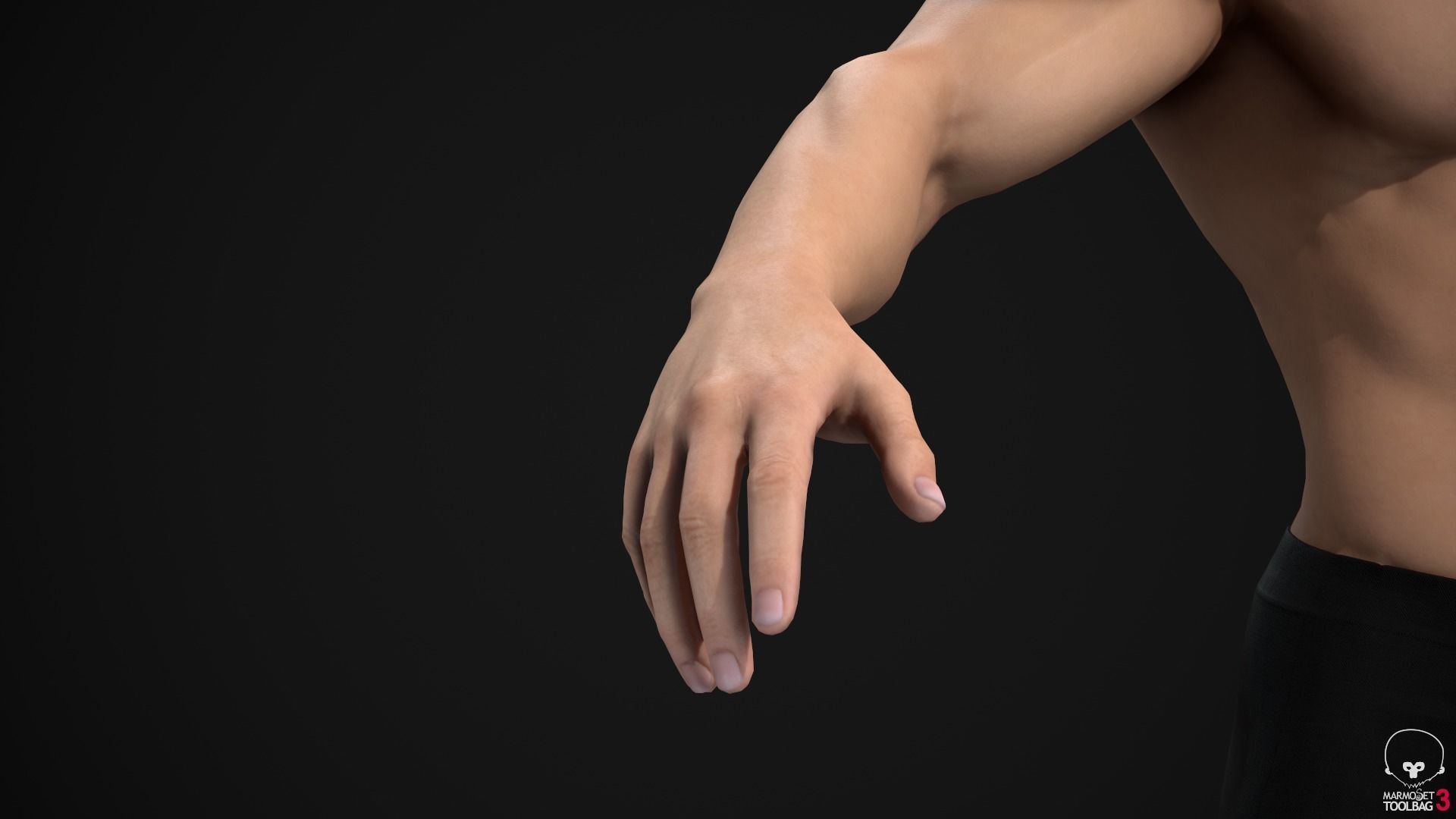 Muscle men pack 3D Model Collection_27