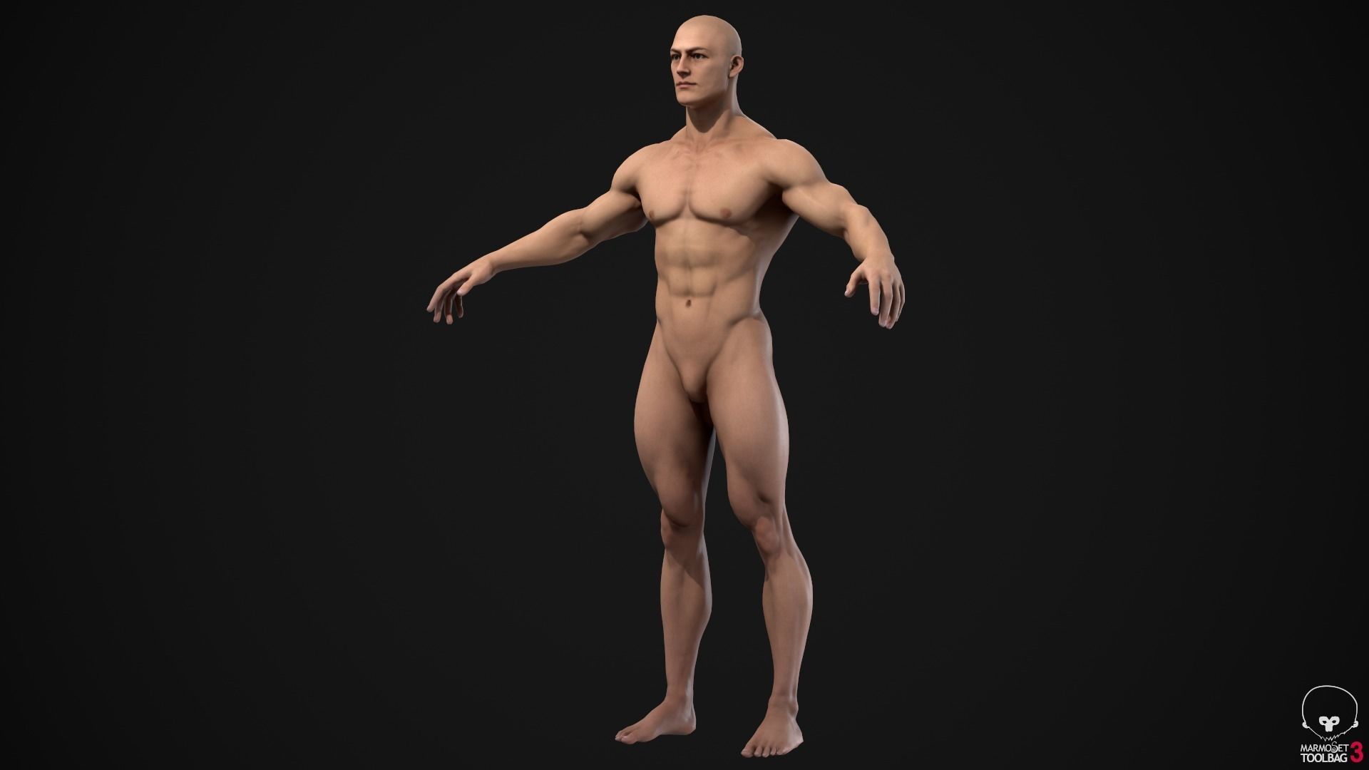 Muscle men pack 3D Model Collection_14