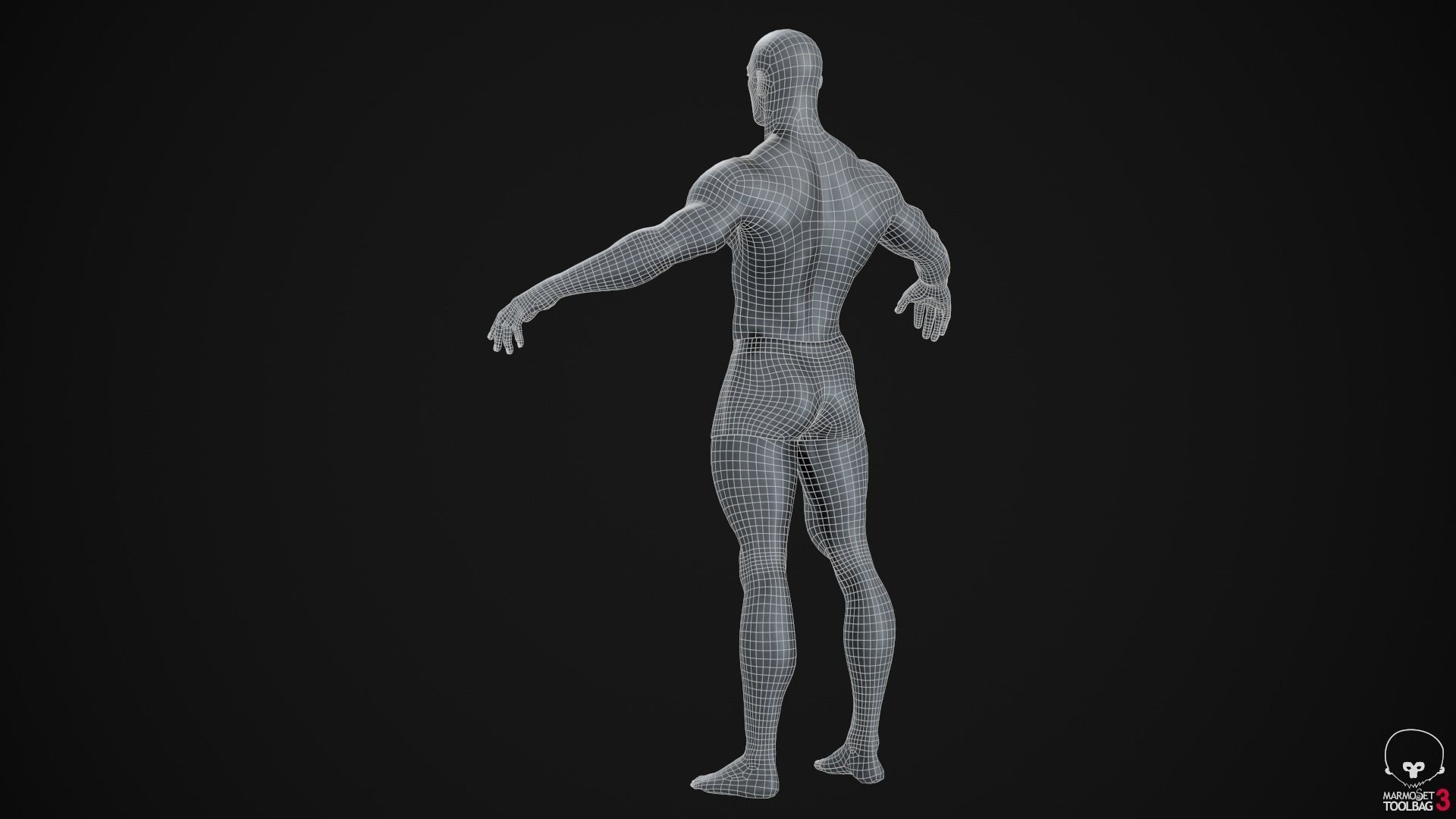 Muscle men pack 3D Model Collection_34