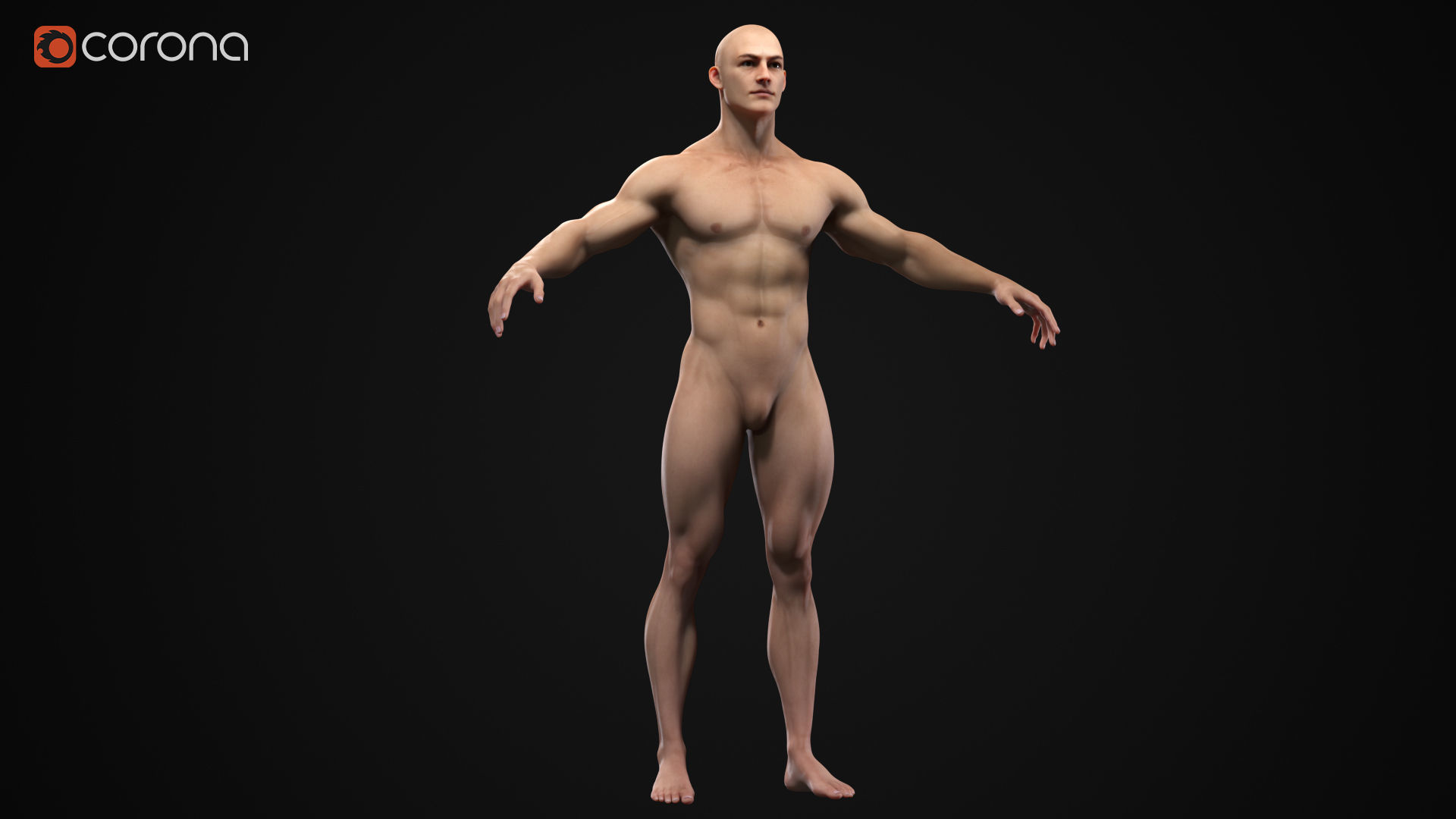 Muscle men pack 3D Model Collection_6