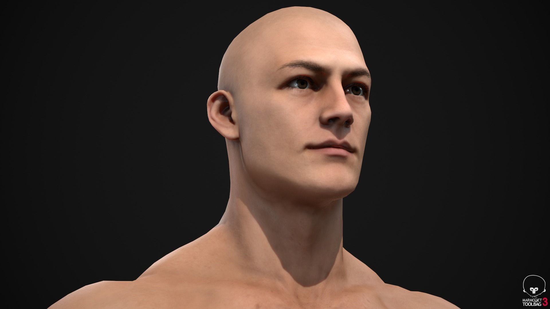 Muscle men pack 3D Model Collection_19