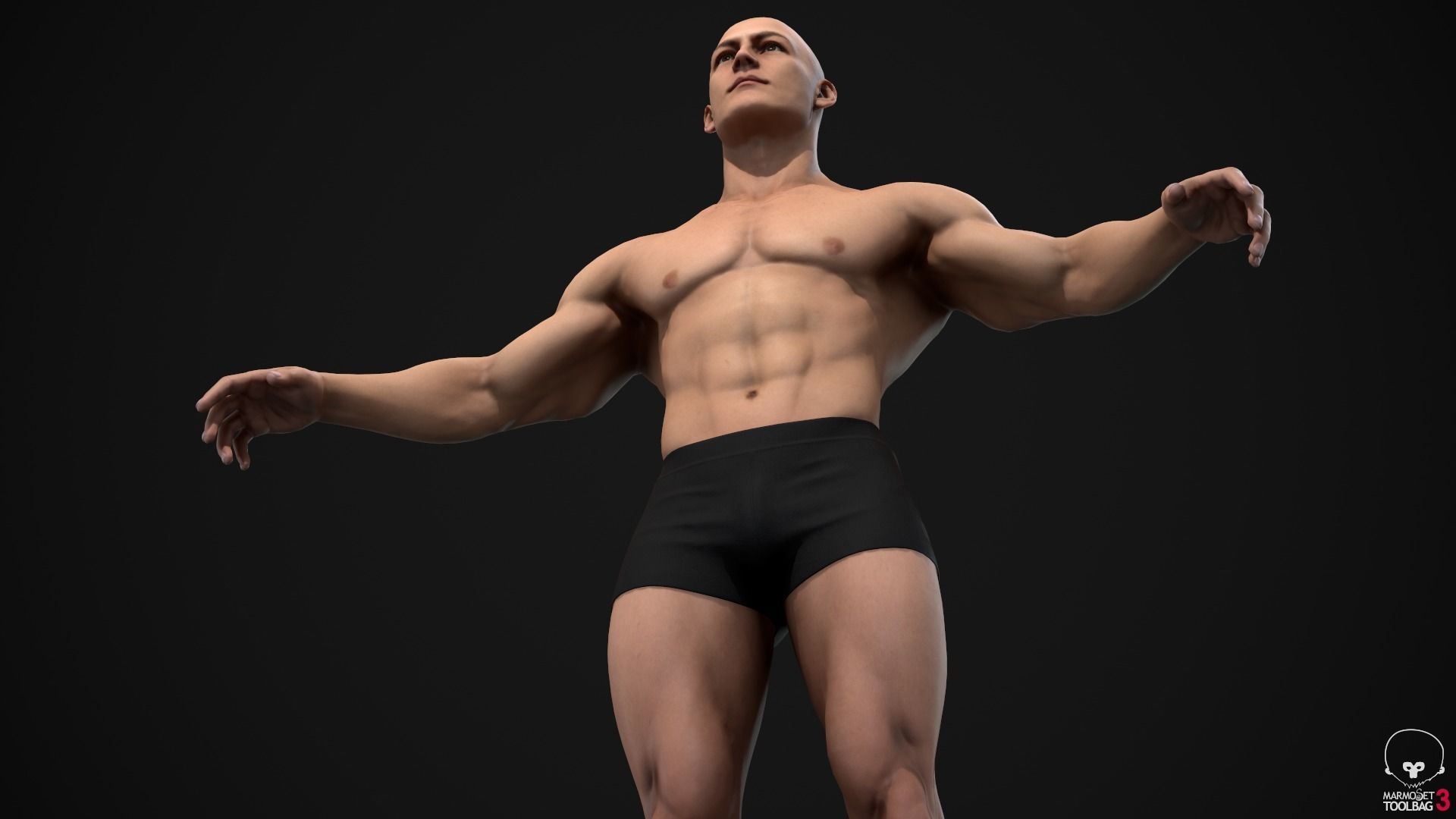 Muscle men pack 3D Model Collection_29