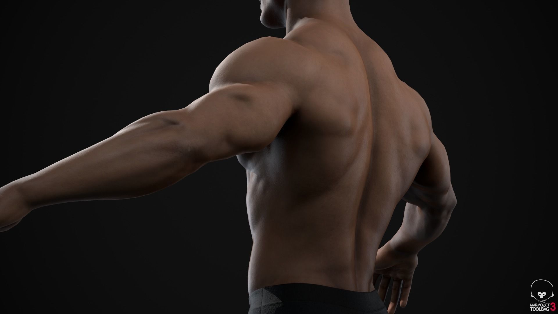 Muscle men pack 3D Model Collection_62