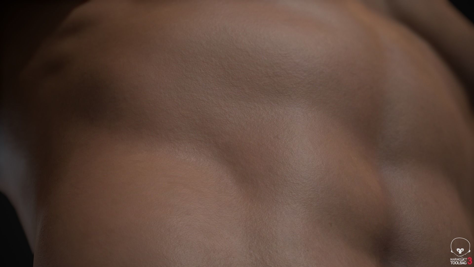 Muscle men pack 3D Model Collection_60