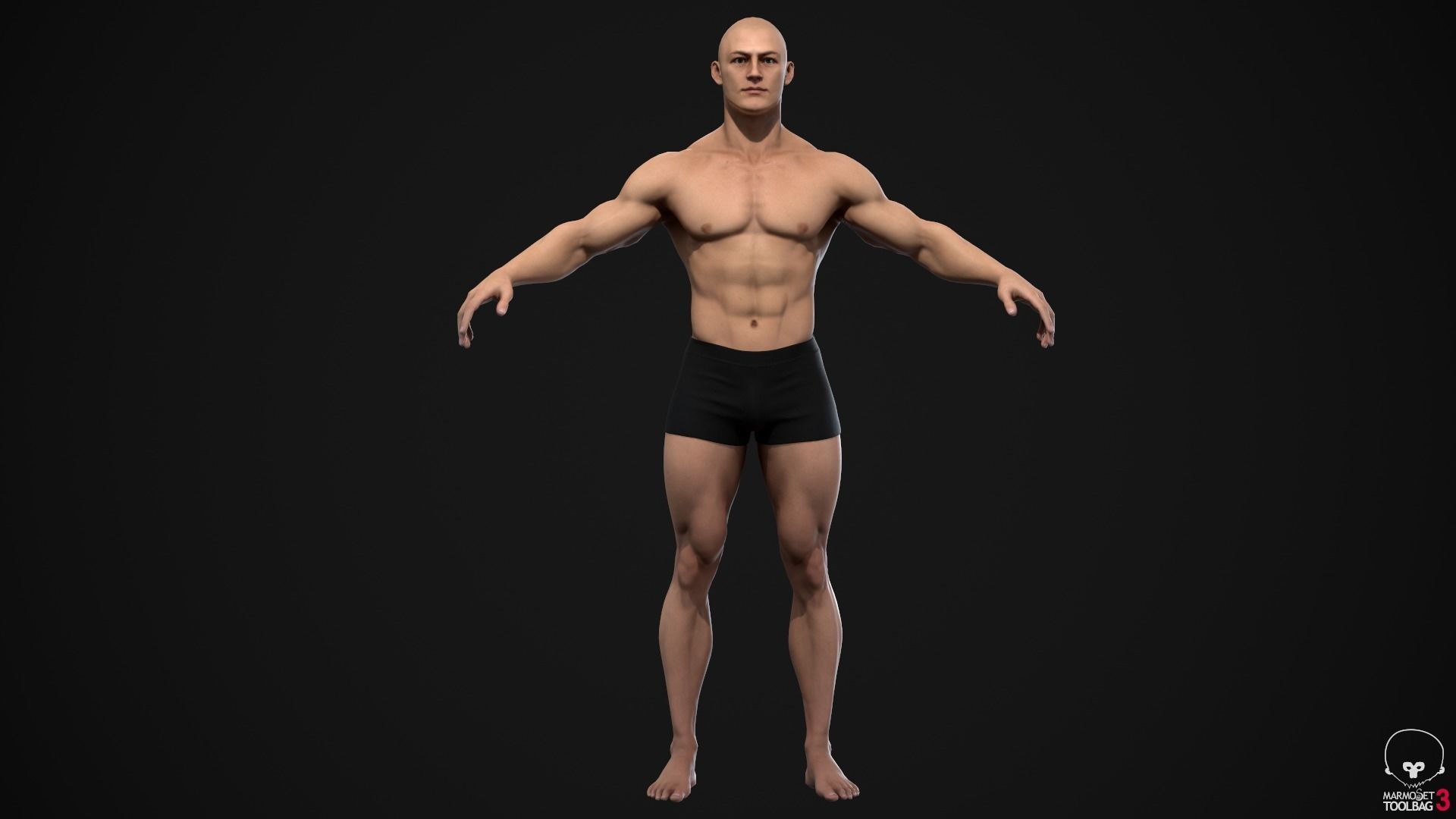 Muscle men pack 3D Model Collection_11