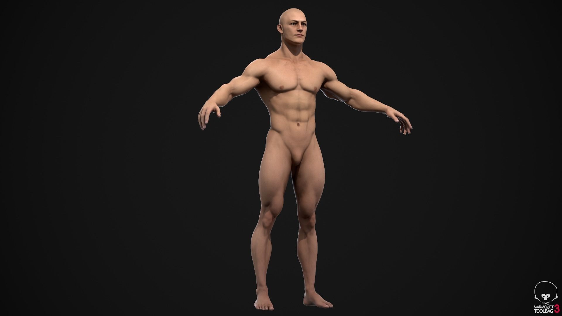 Muscle men pack 3D Model Collection_10