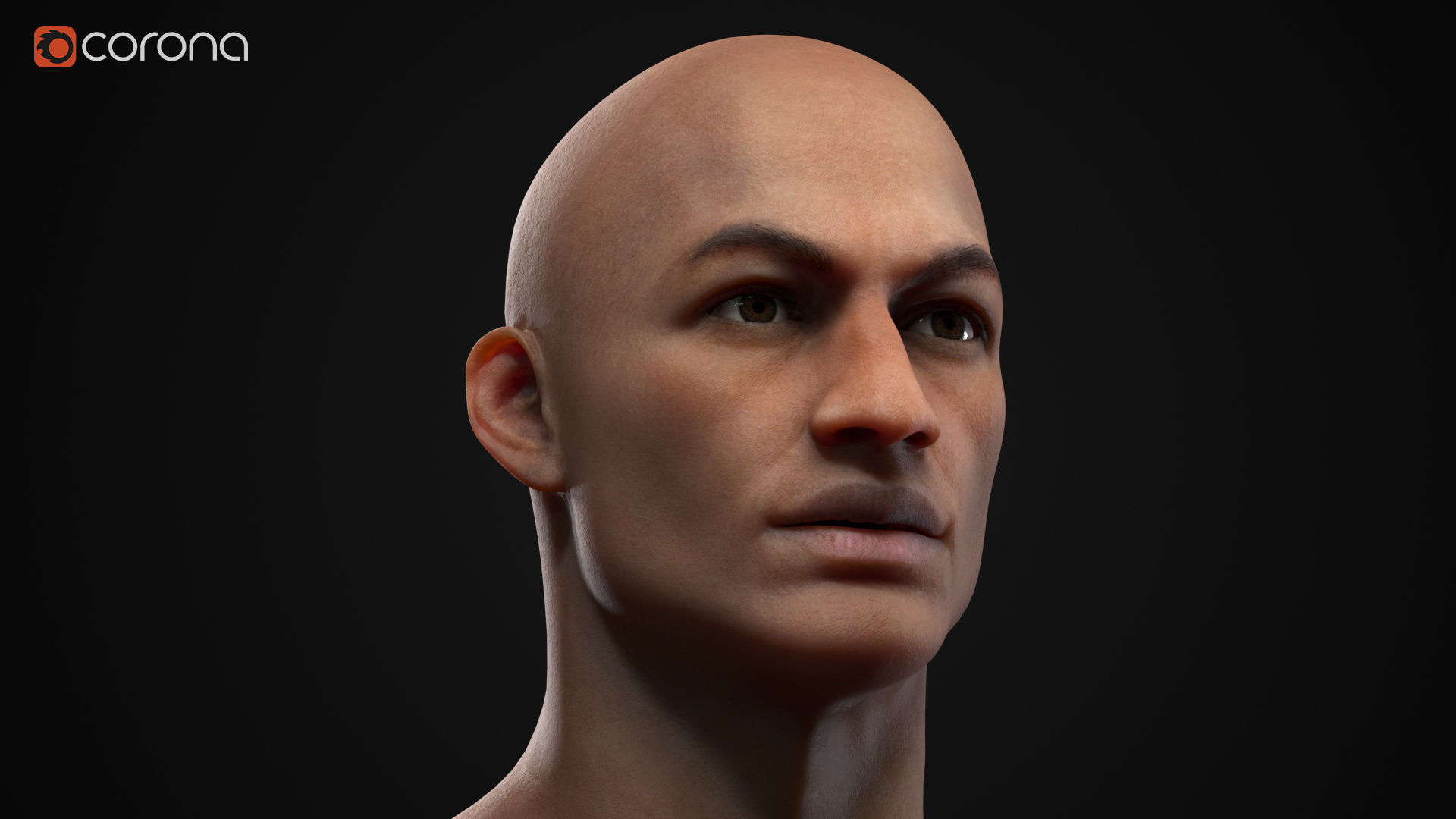 Muscle men pack 3D Model Collection_39