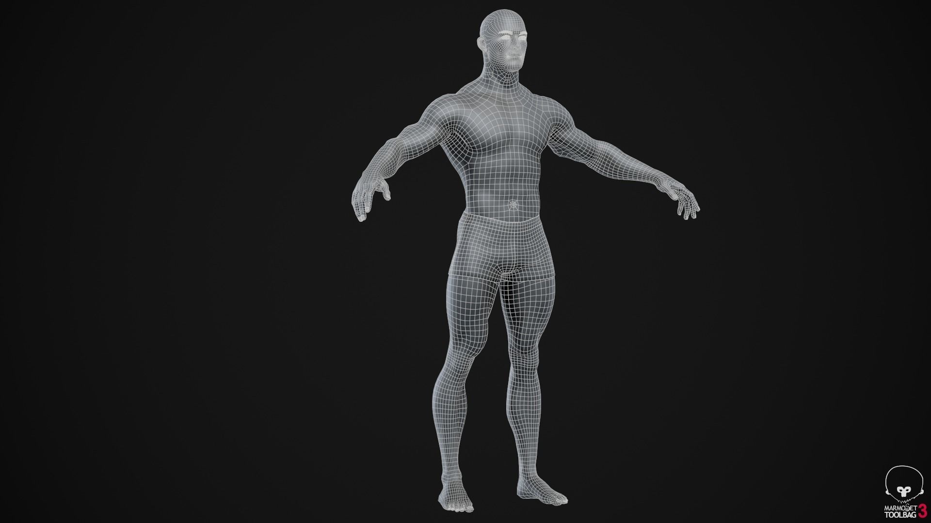 Muscle men pack 3D Model Collection_30