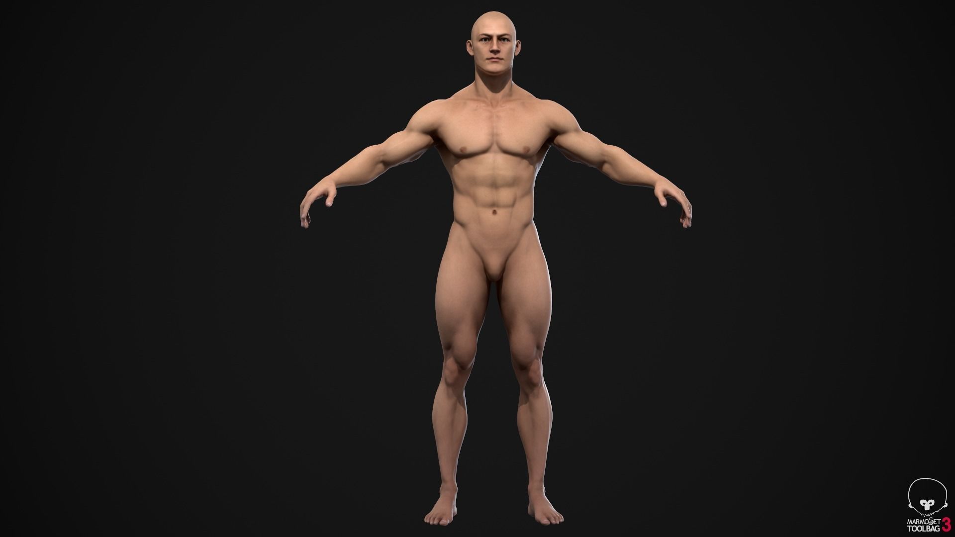 Muscle men pack 3D Model Collection_12