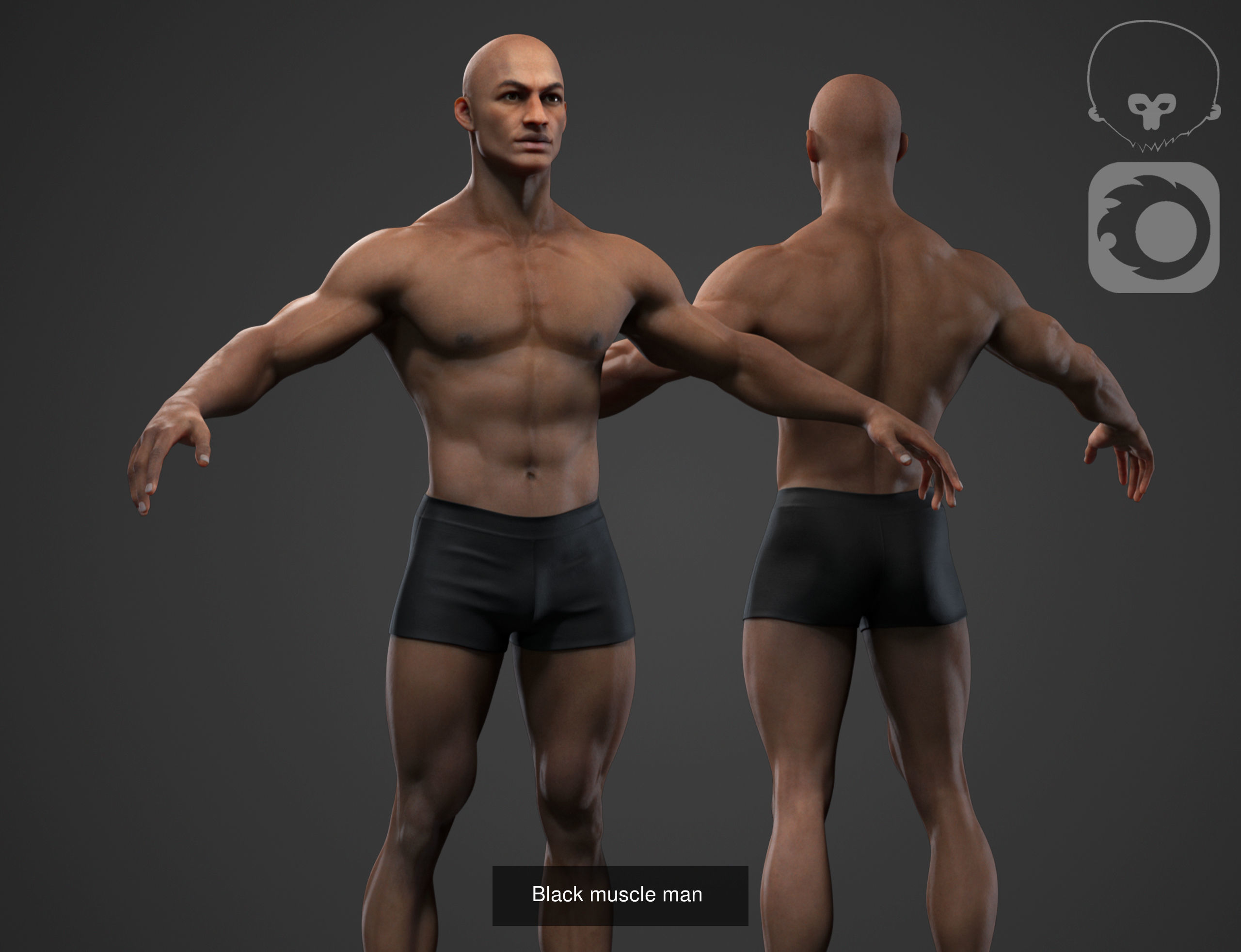 Muscle men pack 3D Model Collection_2