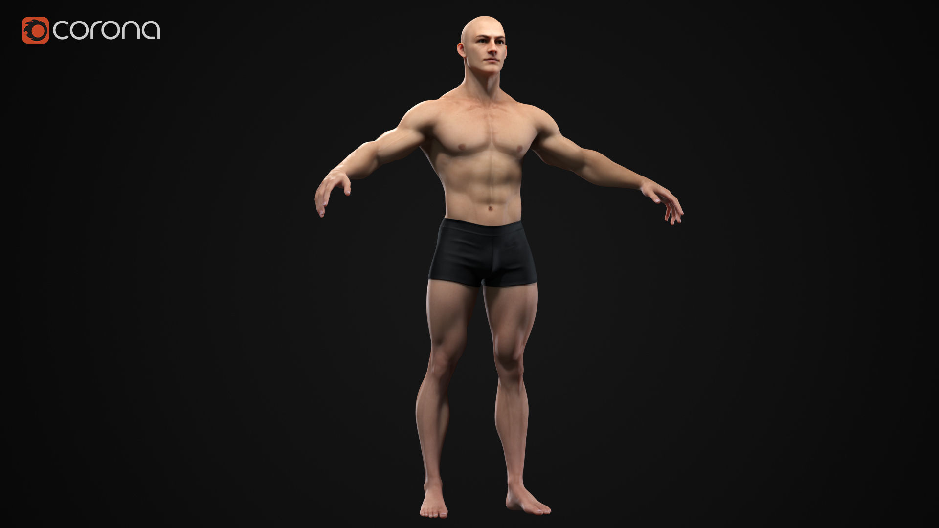 Muscle men pack 3D Model Collection_4