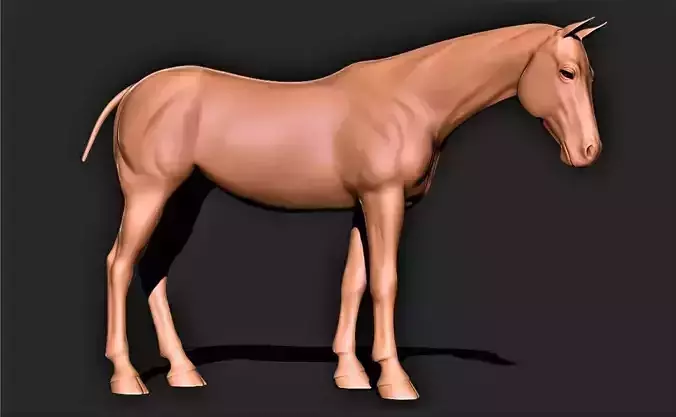 Horse 006 3D print model