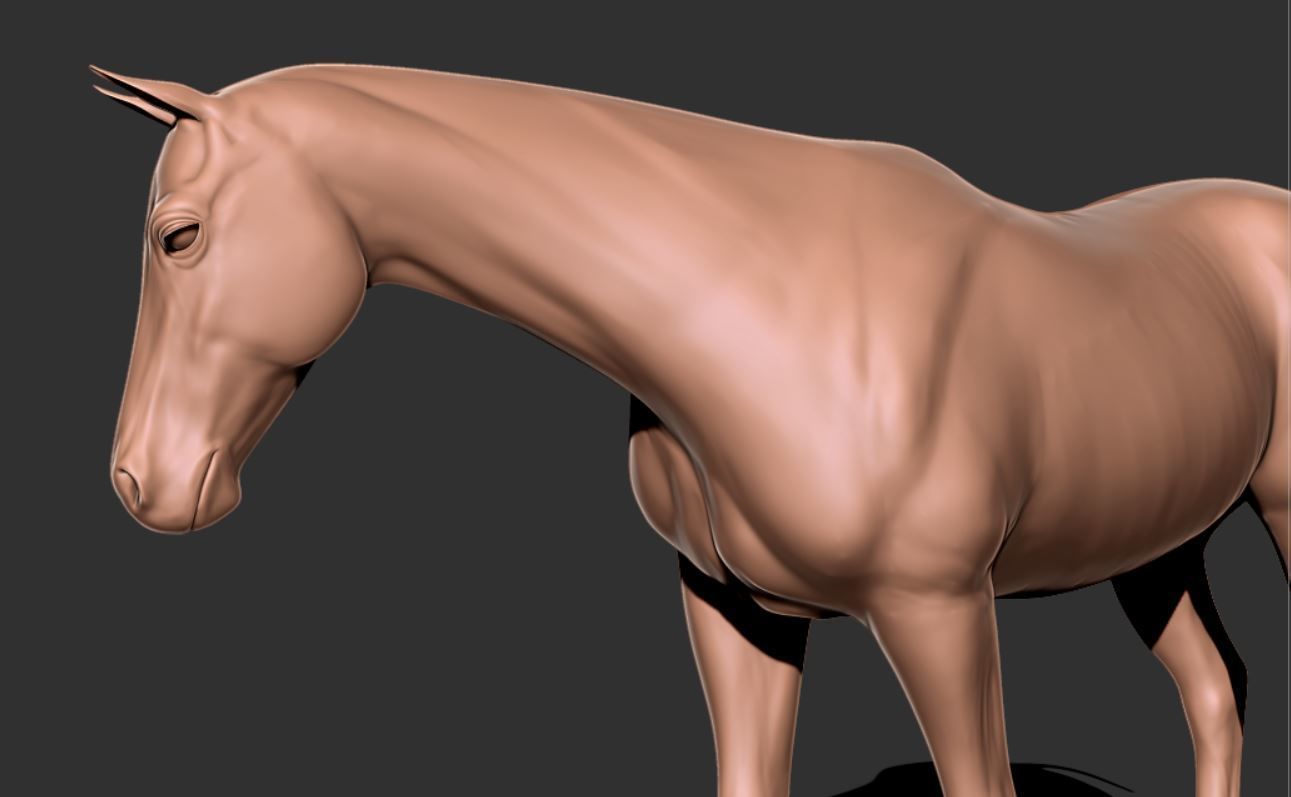 Horse 006 3D print model_7