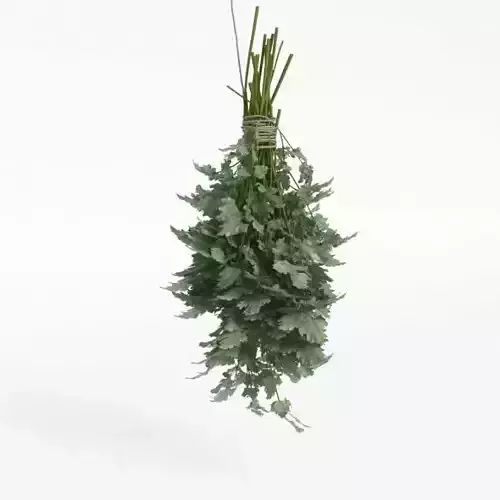 Bathing Birch Rod 3D model