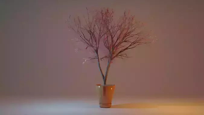 Tree in a pot 3D model