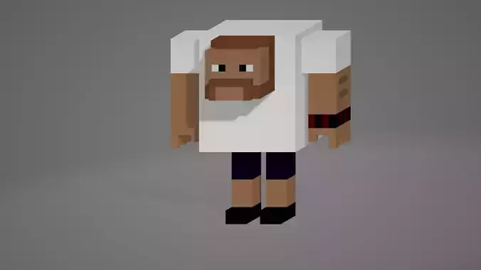 Voxel Man