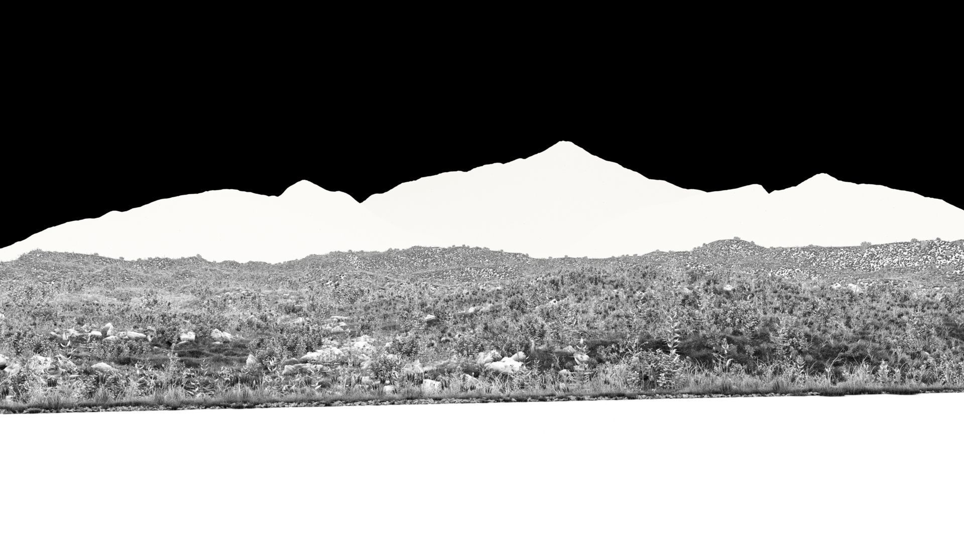 Field road production 3D model_1